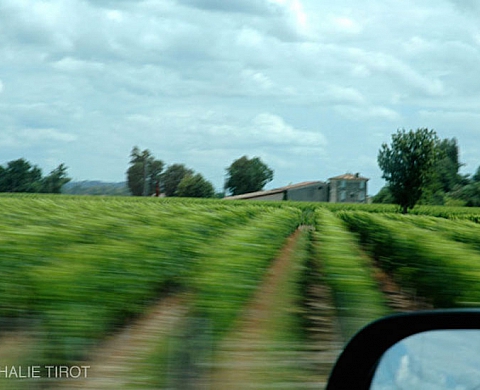 Exposition : La france à 100 km heure