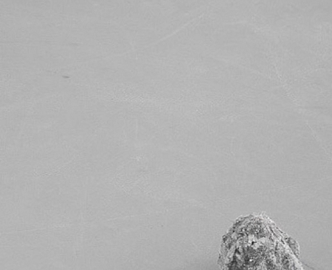 Exposition : Sun, romance and destrction