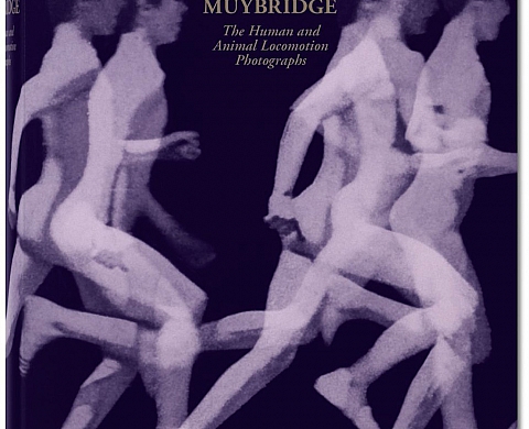 Muybridge, il était une fois le mouvement Muybridge, il était une fois le mouvement