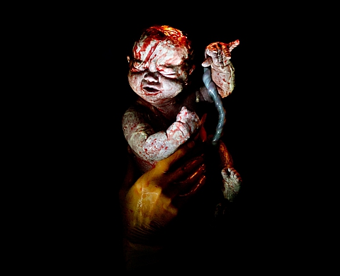 Rencontre avec Christian Berthelot, l'iconographe des naissances