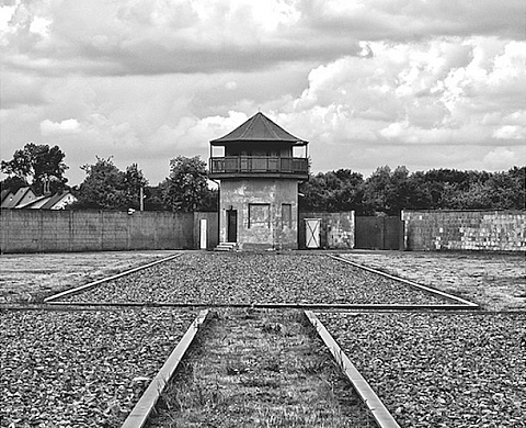 Exposition : Les symétries de l'horreur