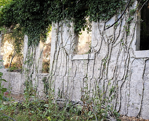 Exposition : Territoires et architecture