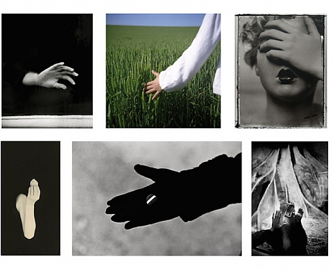Exposition : La main Exposition : La main