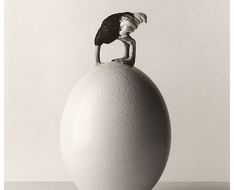 Exposition : Chema Madoz Exposition : Chema Madoz