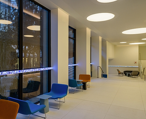 Carte blanche à Guy Limone