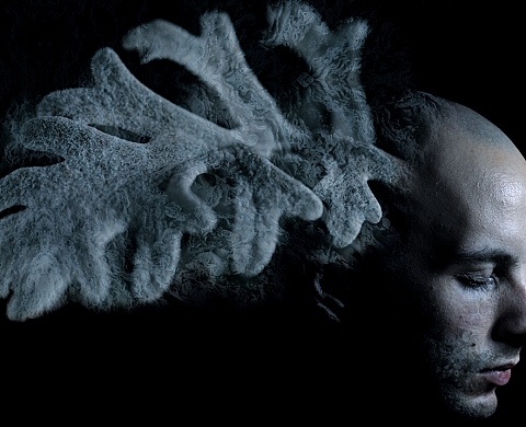 Exposition collective : Equinoxe 