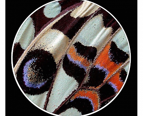 Exposition : « Empreintes » Hommage à Maurice VERNA