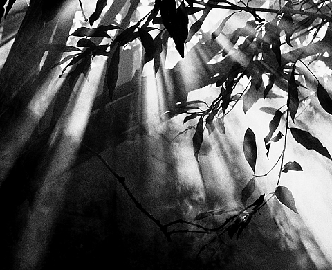 Exposition : Seul le silence de Marie Fontecave Exposition : Seul le silence de Marie Fontecave