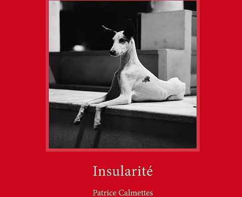 « Insularité » de Patrice Calmettes : Ibiza, île du paradoxe « Insularité » de Patrice Calmettes : Ibiza, île du paradoxe