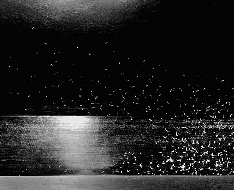 Exposition : Dérives argentiques de Jean Cazelles 