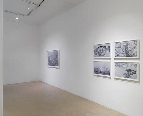 Exposition : Storyteller de Asako Shimizu Exposition : Storyteller de Asako Shimizu