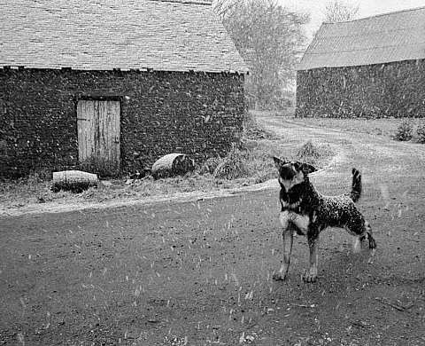 Exposition : Visions de Bretagne de Claude Le Gall