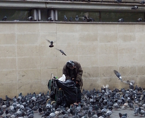 « Prises de rue », Paris vu par les yeux des sans-abri « Prises de rue », Paris vu par les yeux des sans-abri