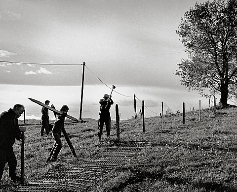 Terres & Paysages, monts et coteaux du lyonnais : Un regard artistique et sensible sur le monde agricole