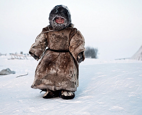 Les finalistes du Sony World Photography 2015 sont enfin dévoilés !