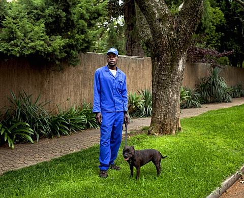 Dog-walker, le nouveau job à la mode dans l'Afrique du Sud post-Apartheid