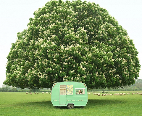 David Yeo remporte le British Life Photography Award 2015