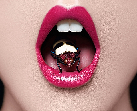 Marc Lamey nous met l'insecte à la bouche