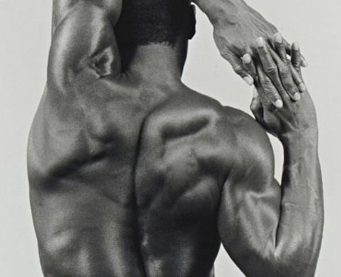 Un dos musclé de Mapplethorpe en vente à l'Hôtel Drouot