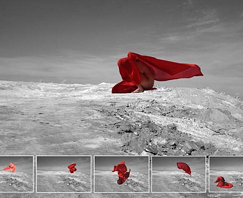 Exposition : Signs de Anne-Flore Labrunie Exposition : Signs de Anne-Flore Labrunie