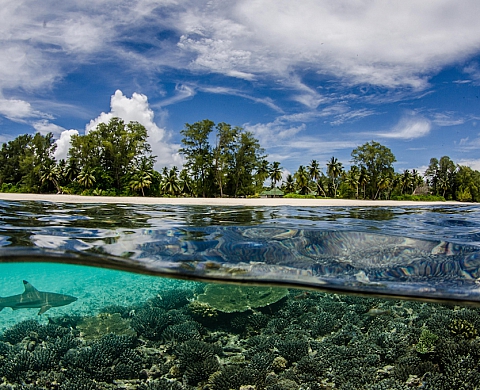 La photo tropicale de Byron Dilkes gagne le UK National Award