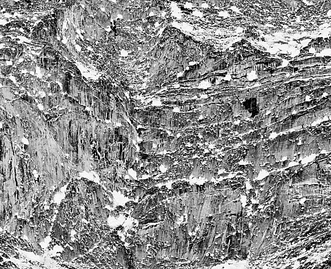 Exposition : « Le temps de la marche » d'Eric Bourret