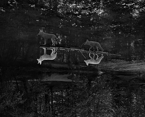 Exposition : « Le temps éparpillé, 1995/2015 » d'Israel Arino