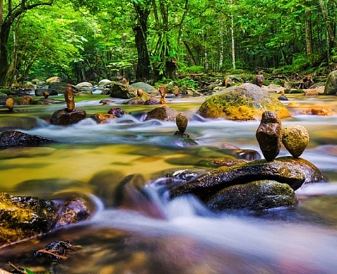 Exposition : « Histoires de la forêt Malaisienne » de Sanjitpaal Singh
