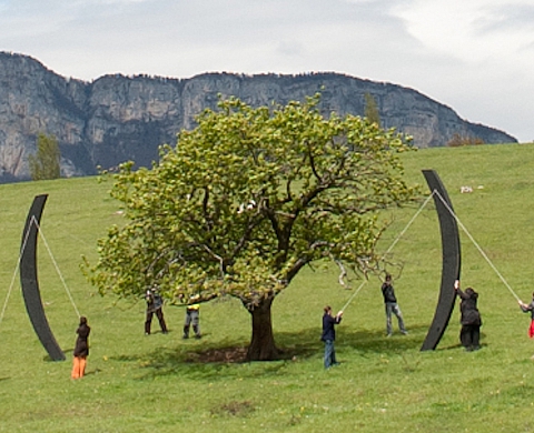 Cheminements 2015 : Grégory Edelein