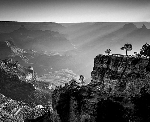 Exposition : Laurent Baheux, l'Amérique en noir & Blanc Exposition : Laurent Baheux, l'Amérique en noir & Blanc