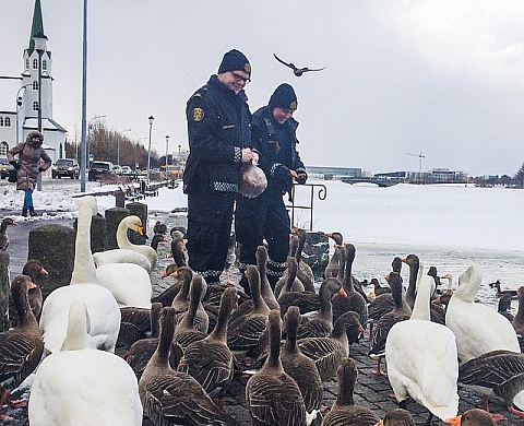 La police de Reykjavik se lâche sur Instagram !