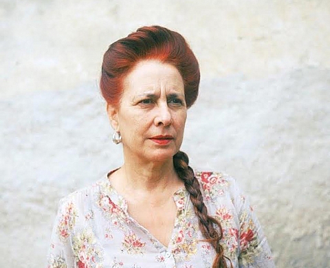 Exposition : Where Mimosa Bloom de Rita Puig-Serra Costa