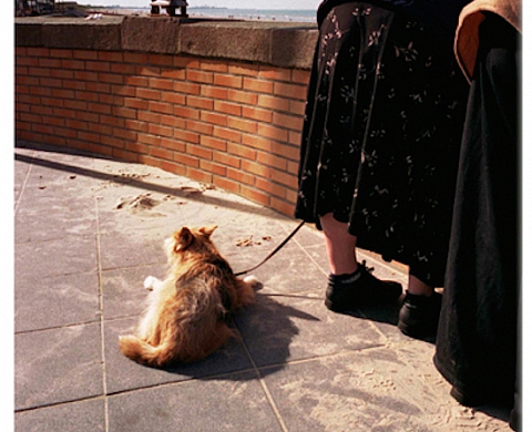 Exposition : « American Journey » avec William Eggleston et Mark Lyon