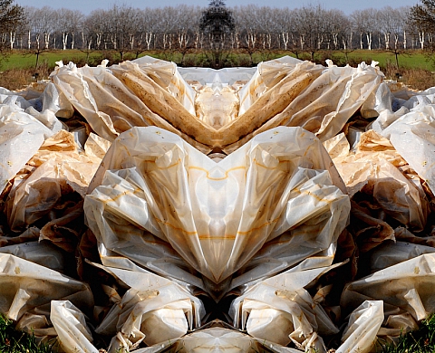 Exposition : « Nature-Plastique » - à l'Institut français de Barcelone