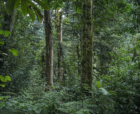 Exposition : « A fendre le cœur le plus dur » au Frac Alsace
