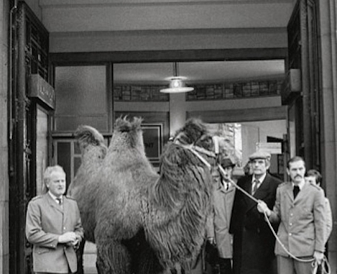 La nouvelle exposition de Marcel Broodthaers est présentée à La Monnaie de Paris