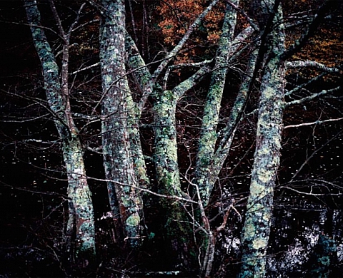 Exposition : « En surface » de Laëtitia Donval à Espace d’exposition du Moulin de la Filature