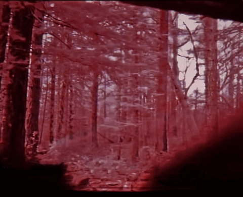 Exposition : « Fragments Liminaires  » de Estefanía Peñafiel Loaiza