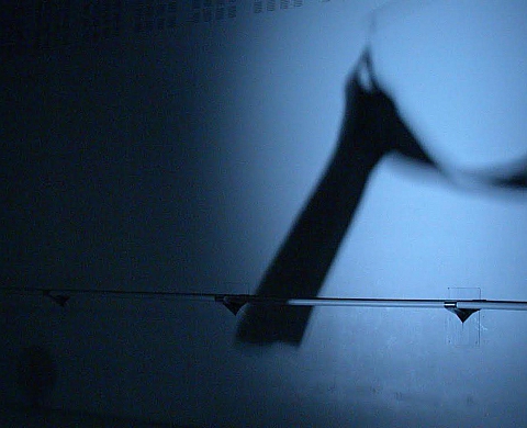 Exposition : « Poses & Play : identités, attitudes et métamorphoses » à La Brasserie