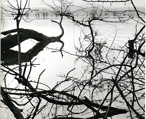 Exposition : « l'eau grande » de Jean-Christophe Ballot à Chinon