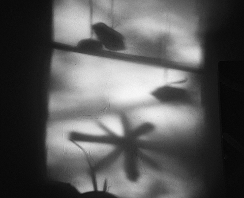 Exposition : « Espaces Intérieurs » de Colette Pourroy à la galerie Adrian Bondy