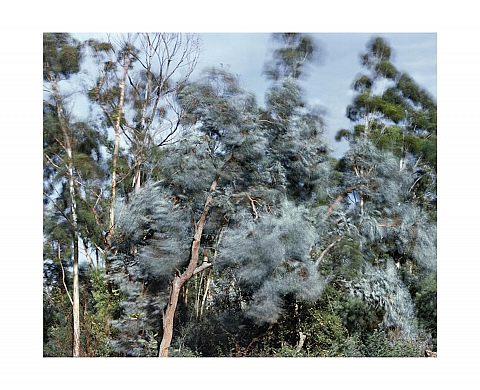 Exposition :  « Territoires imaginaires » à la collection François Desnoyer de Saint-Cyprien