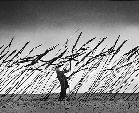 Exposition : « Faire de son mieux » de Gilbert Garcin à la galerie Camera Obscura Exposition : « Faire de son mieux » de Gilbert Garcin à la galerie Camera Obscura