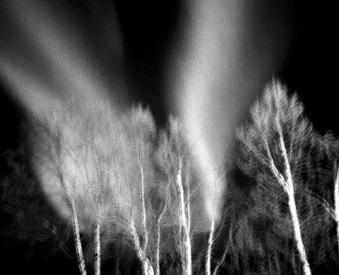 Exposition : les photographes de Exposition : les photographes de