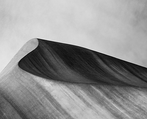 Exposition : « Sand & Stone » de Sandrine Rousseau à Anne Clergue Galerie