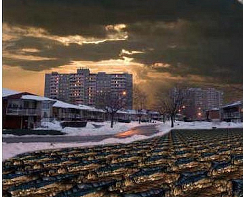 Exposition : « Terrasser l'horizon » au Centre Culturel Canadien