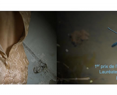 Nathalie Hubert, première lauréate du Prix de l'Emoi Photographique
