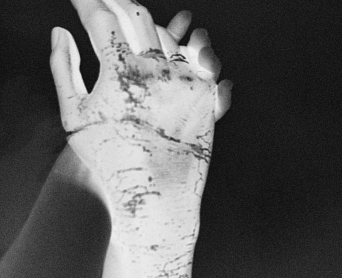 Exposition : « Exuvies » d'Anaïs Boudot 