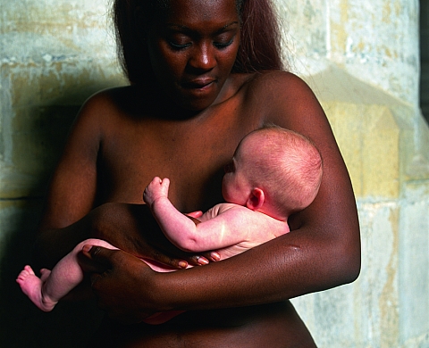 Exposition : Andres Serrano Photographies à la Galerie rueVisconti