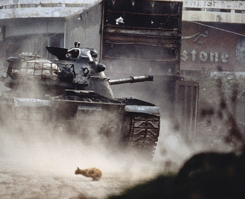 Exposition : « panorama sur les 25 ans de la collection du Centre Méditerranéen de la Photographie »